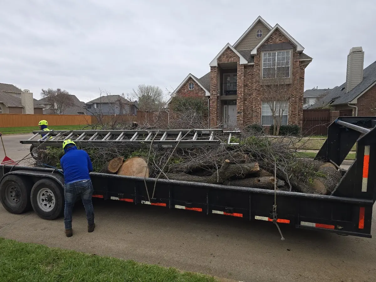 Expert Lot Clearing with proper safety equipment in Waco